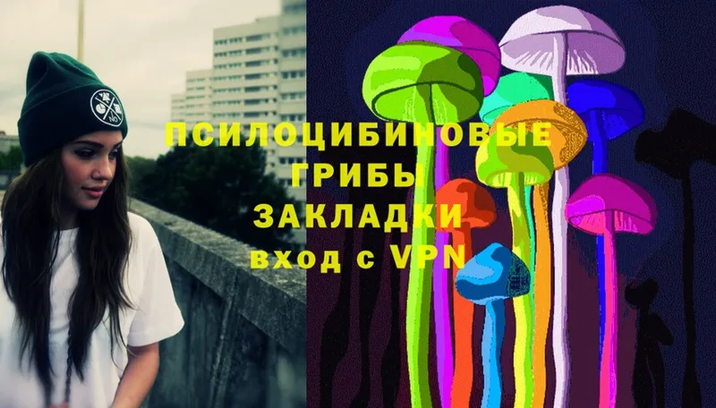 Галлюциногенные грибы Psilocybe  цена   ссылка на мегу рабочий сайт  Асино 